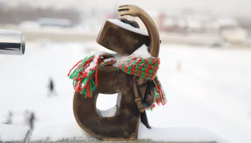 Утеплились: бронзовые арт-объекты в центре Барнаула укутали в милые шарфики