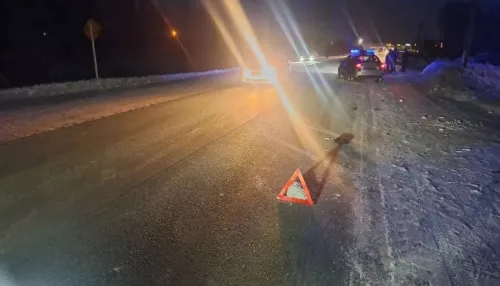 Иномарка насмерть сбила 40-летнюю женщину в Новосибирской области