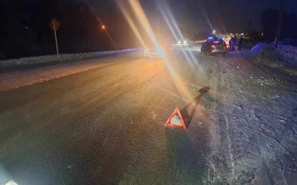 Иномарка насмерть сбила 40-летнюю женщину в Новосибирской области