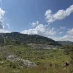 Ущерб от золотодобычи в Солонешенском районе превысил 211 млн рублей