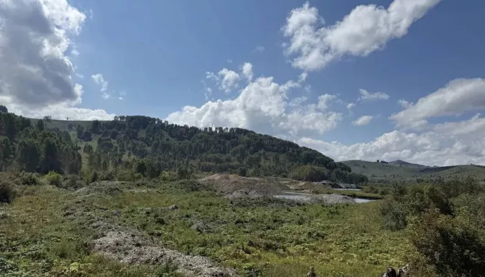 Ущерб от золотодобычи в Солонешенском районе превысил 211 млн рублей