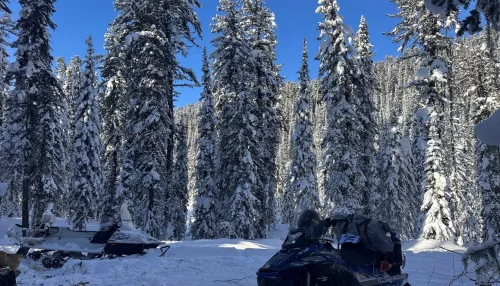 В Республике Алтай обследовали места обитания северного оленя. Фото
