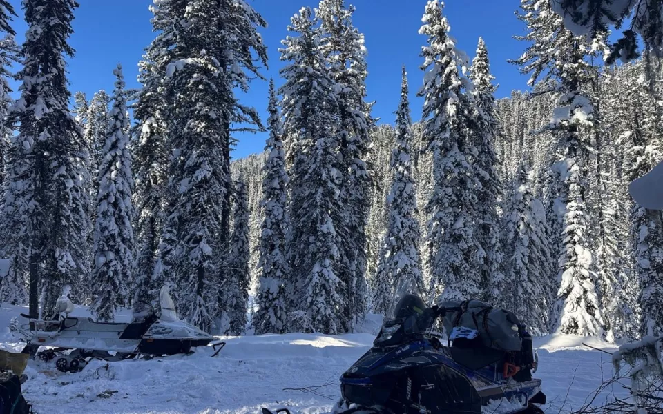 В Республике Алтай обследовали места обитания северного оленя. Фото