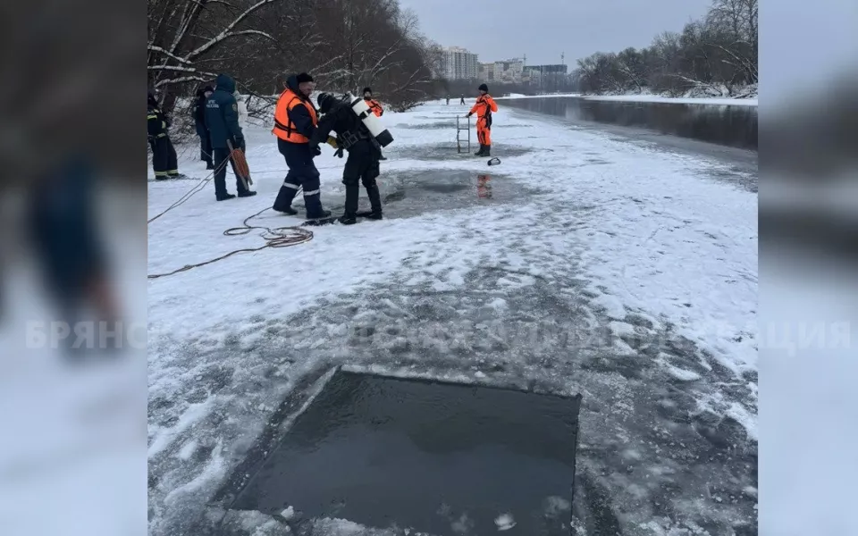 В Брянске уже десять дней подо льдом ищут утонувших мальчиков. Фото