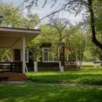 Турбазу в окружении яблоневого сада продают в Горном Алтае за 105 млн рублей. Фото