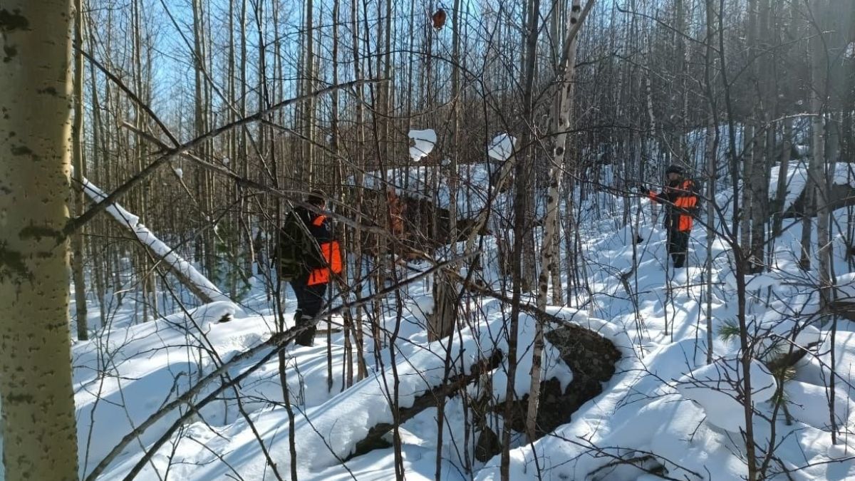 Поиски семьи Усольцевых
