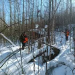 Поиски Усольцевых возобновили из-за страшной находки