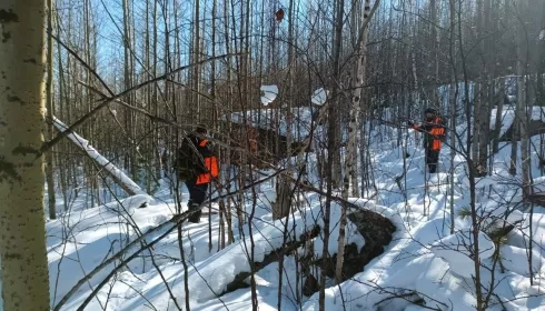 В соцсетях заявили о найденных телах семьи Усольцевых: правда ли это