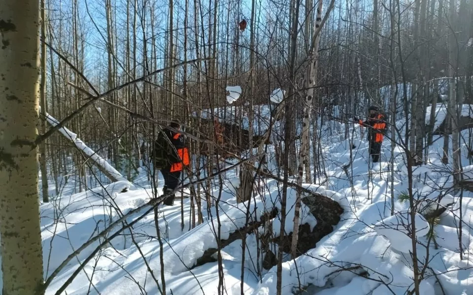 Три варианта: какие версии пропажи семьи Усольцевых отрабатывают следователи