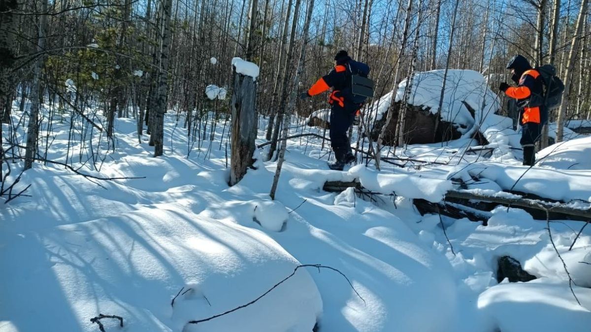 Поиски семьи Усольцевых