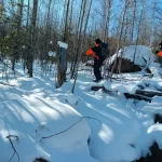 Спустя полгода нашелся свидетель исчезновения Усольцевых. Что он рассказал