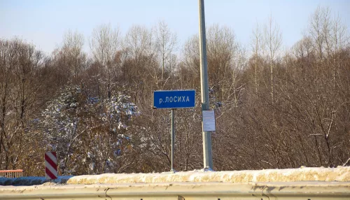 Стало известно, кто отремонтирует младшего брата Нового моста под Барнаулом