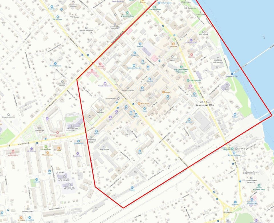 Участки улиц, неблагополучных по бешенству в Камне-на-Оби