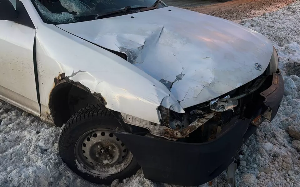 Иномарка насмерть сбила 17-летнюю девушку на Чуйском тракте