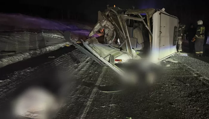 Пять погибших: что известно о столкновении Газели с прицепом в Красноярском крае