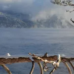 Холодную красоту Золотого озера запечатлели в Республике Алтай. Фото