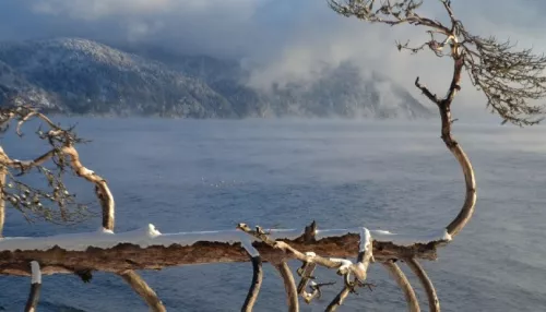 Холодную красоту Золотого озера запечатлели в Республике Алтай. Фото