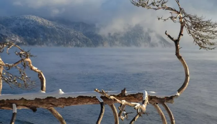 Холодную красоту Золотого озера запечатлели в Республике Алтай. Фото