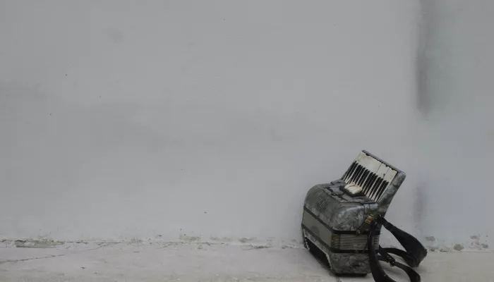 Бийчанин украл баян у уличного музыканта и сдал его в комиссионный магазин