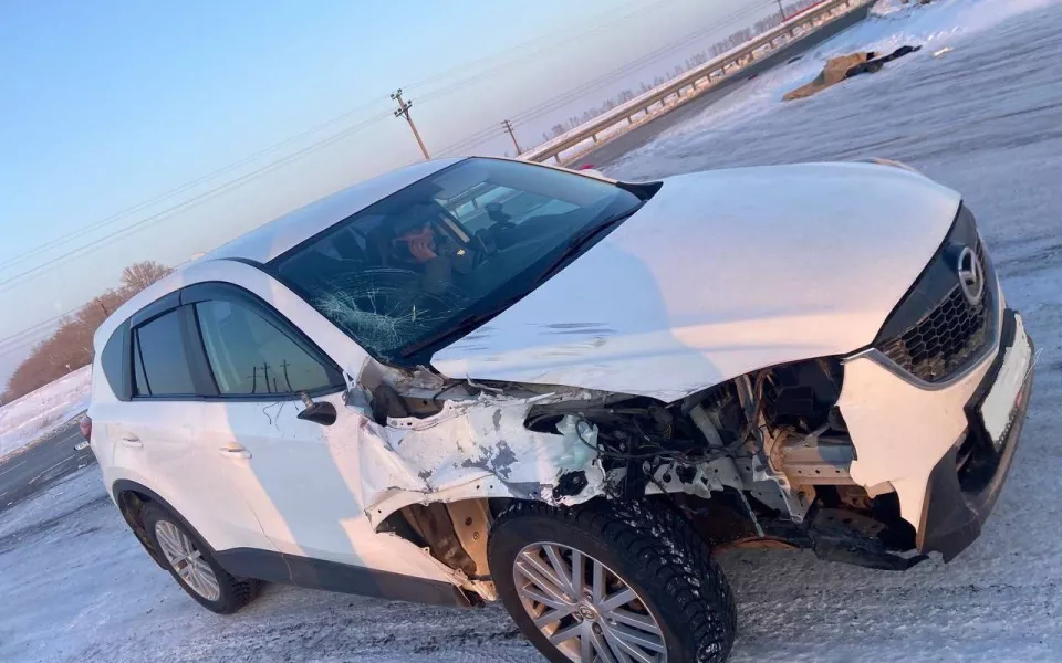 Mazda CX-5 насмерть сбила молодую женщину на трассе в Рубцовском районе