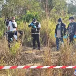 Барнаульца подозревают в жестоком убийстве в Таиланде: что об этом известно