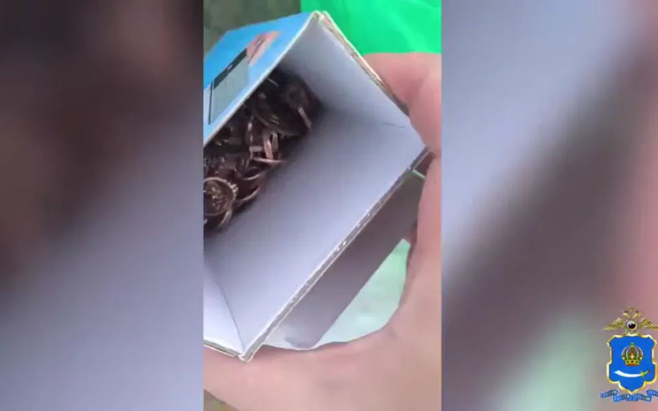 Девочка по указке мошенников отнесла на кладбище ювелирки на 2,3 млн рублей