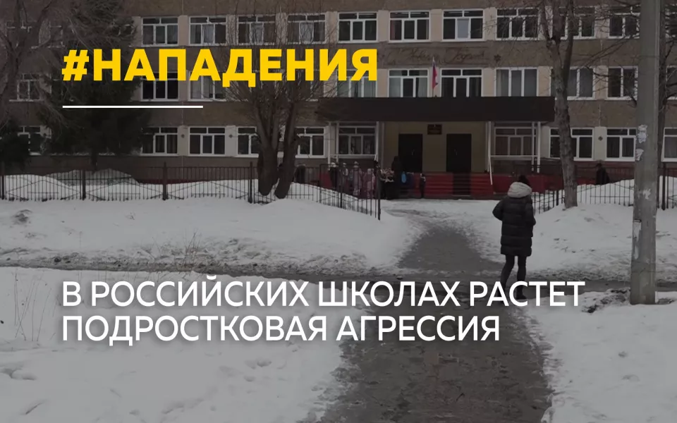 Ножи, поджоги и стрельба: в российских школах растет подростковая агрессия