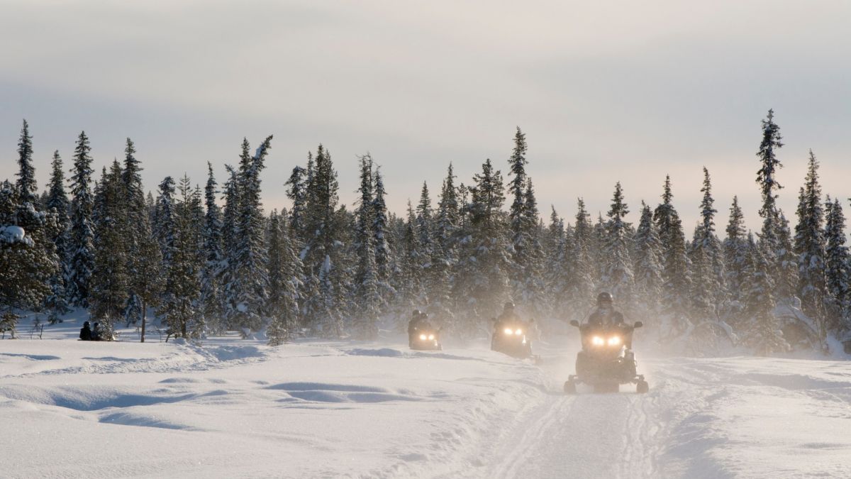 Зимний отдых в Республике Алтай