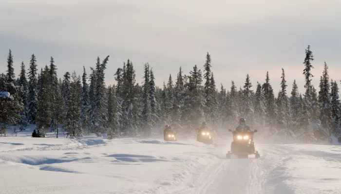 Турпоток в Республике Алтай вырос до 2,8 млн человек