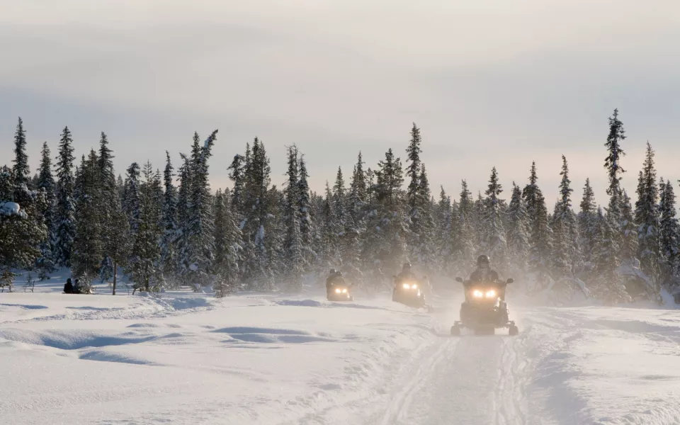 Турпоток в Республике Алтай вырос до 2,8 млн человек