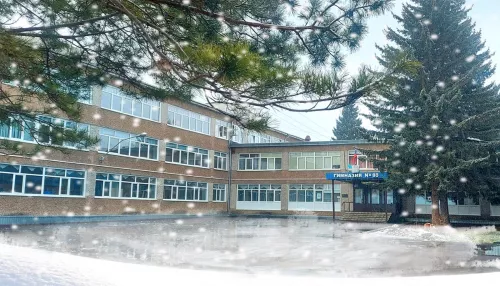 Известную барнаульскую гимназию ждет капремонт за 174 миллиона рублей