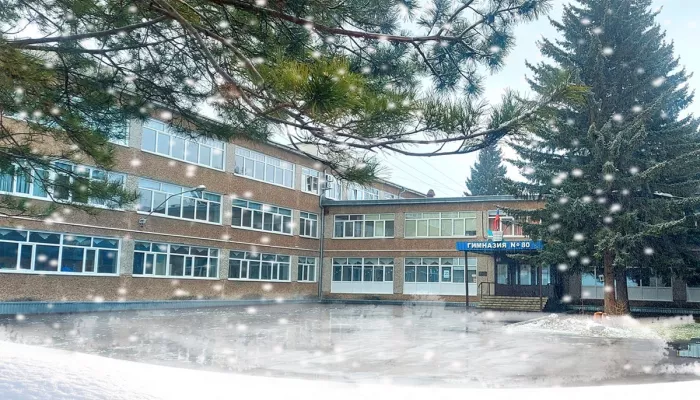 Известную барнаульскую гимназию ждет капремонт за 174 миллиона рублей