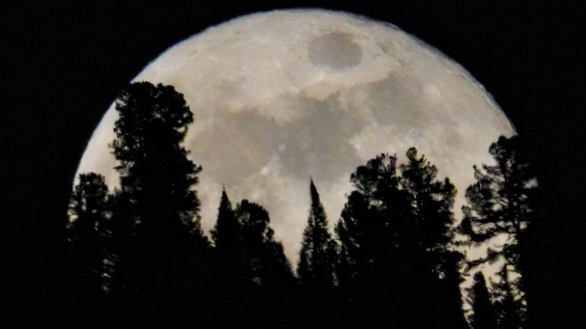 Полная луна над Прителецкой тайгой