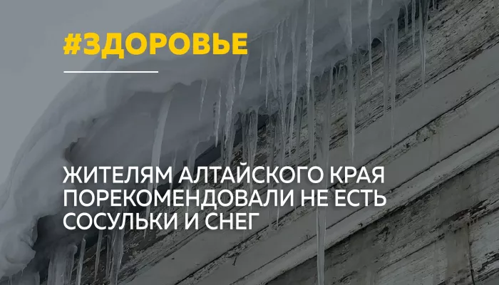 Жителям Барнаула не советуют есть снег и сосульки из-за опасности для здоровья