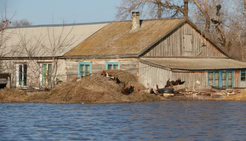 Дружная весна и опасные отметки: стоит ли ждать пощады от первой волны паводка на Алтае
