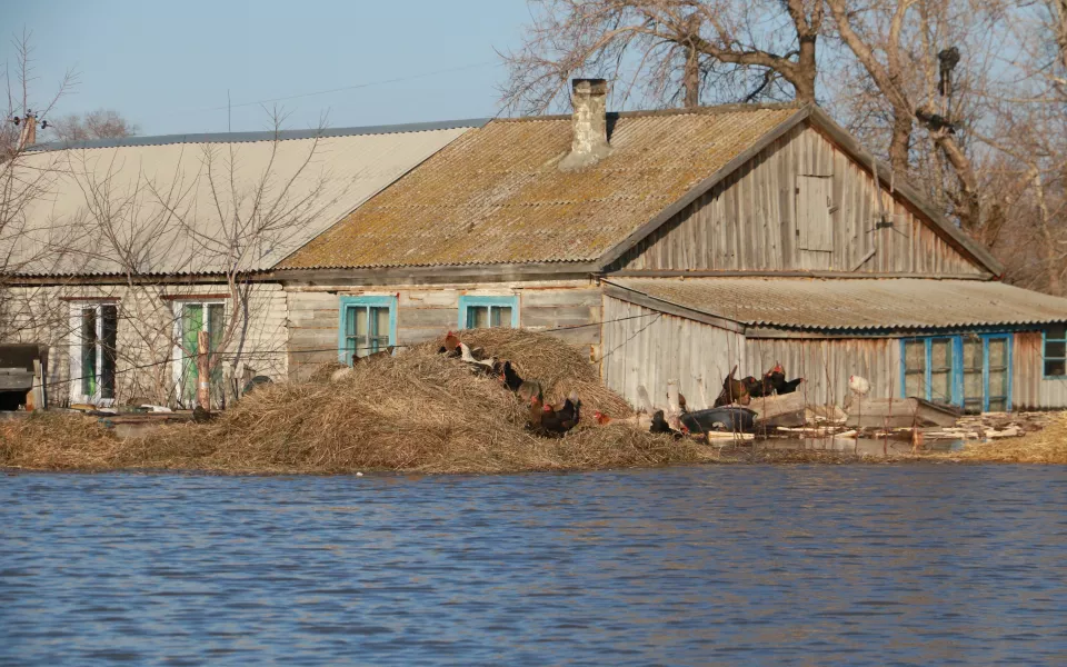 Дружная весна и опасные отметки: стоит ли ждать пощады от первой волны паводка на Алтае