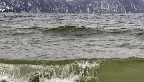 На Телецком озере в Алтайском заповеднике прошел февральский дождь. Фото