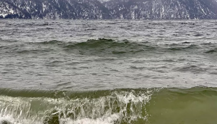 На Телецком озере в Алтайском заповеднике прошел февральский дождь. Фото