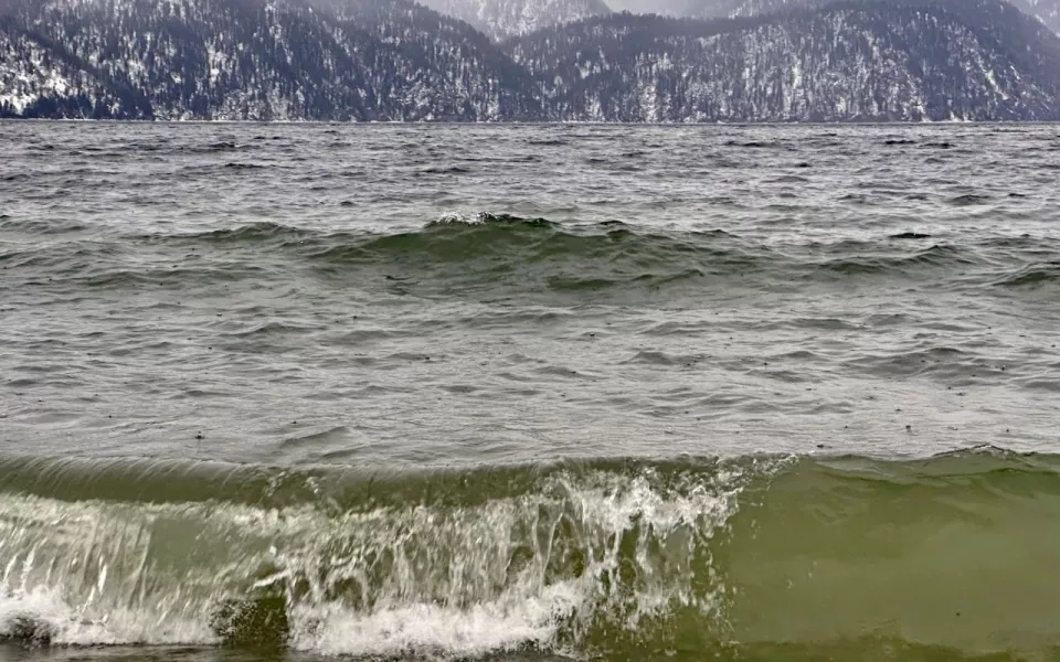 На Телецком озере в Алтайском заповеднике прошел февральский дождь. Фото