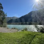 Усадьбу с садом на берегу Катуни продают в Горном Алтае за 25 млн рублей. Фото