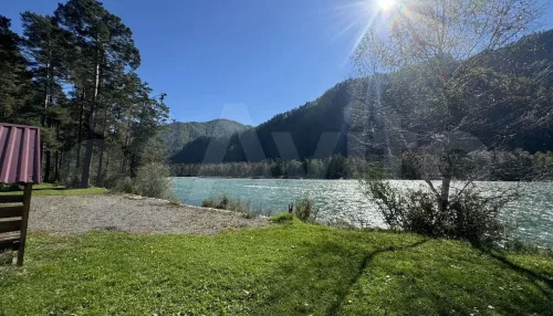 Усадьбу с садом на берегу Катуни продают в Горном Алтае за 25 млн рублей. Фото