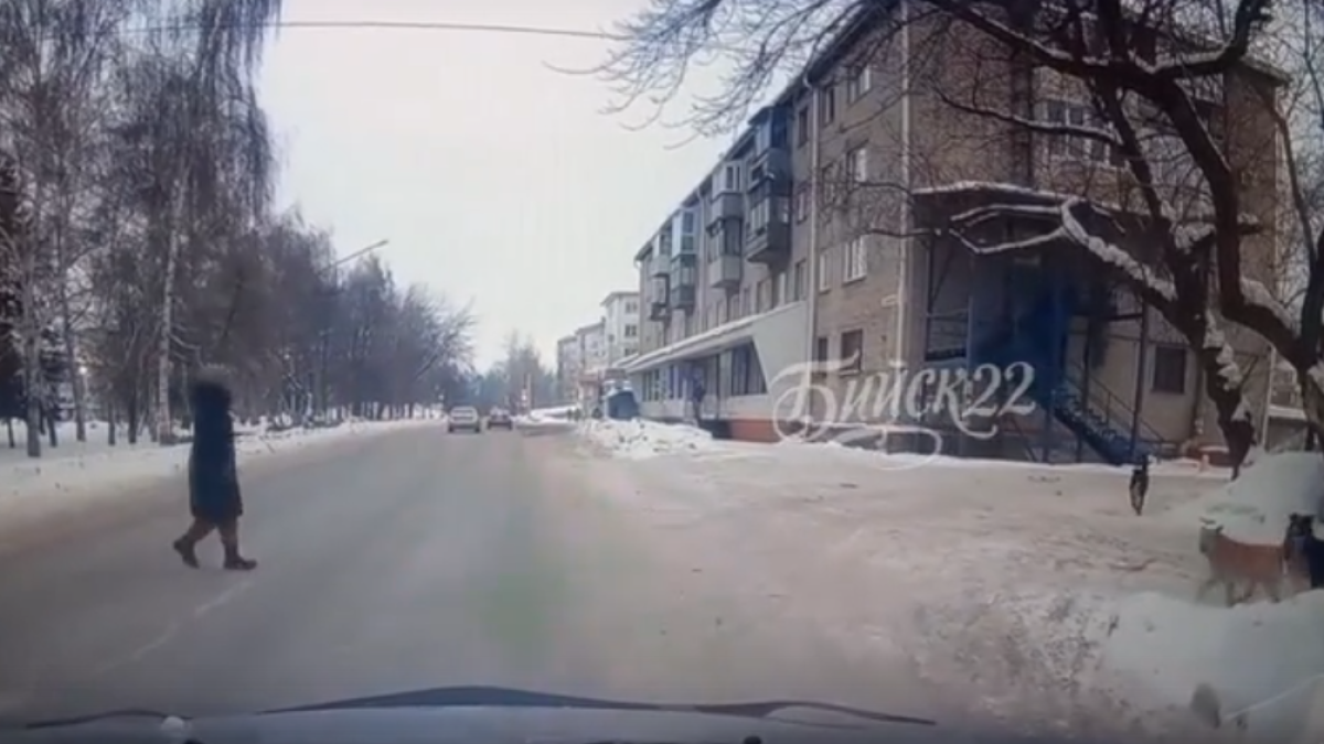 Собаки пытались напасть на ребенка в Бийске