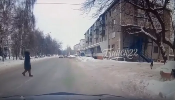 В Бийске стая собак набросилась на мальчика в центре города