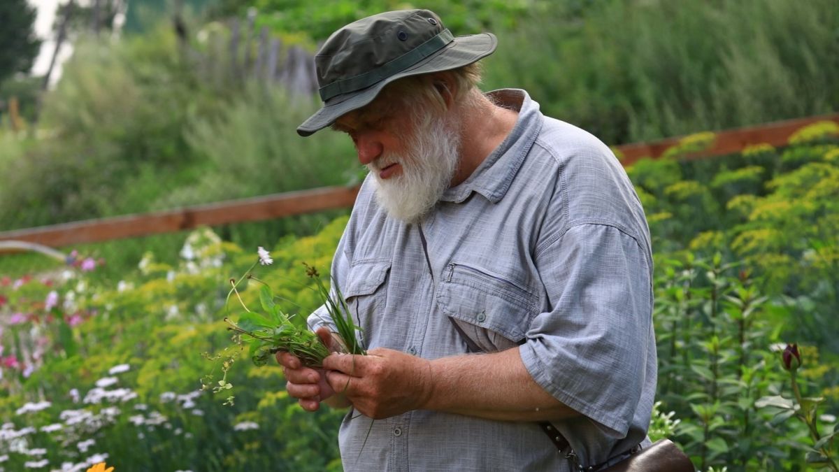Николай Иванович Золотухин