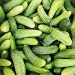 Тысяча за килограмм: назван сибирский регион с самыми дорогими огурцами в России