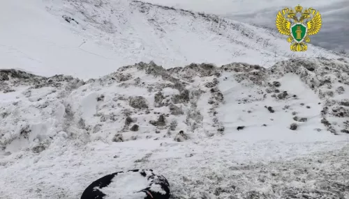 Двое мальчиков погибли под лавиной при катании на ватрушках. Фото