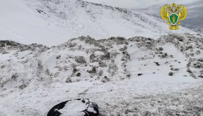 Двое мальчиков погибли под лавиной при катании на ватрушках. Фото