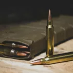 5 млн компенсации и 12 лет колонии: в Алтайском крае мужчина застрелил знакомую