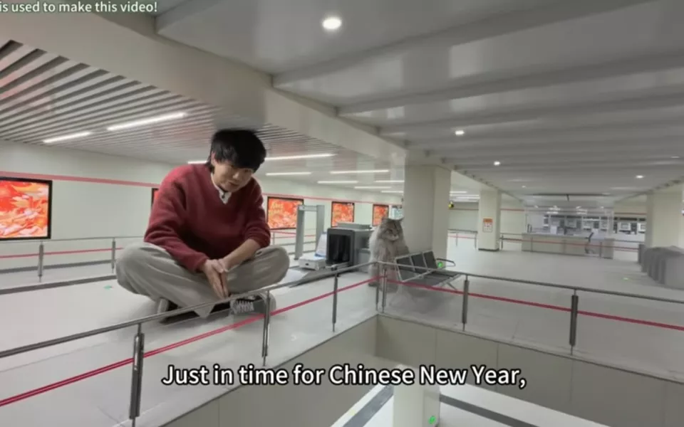 Метро, супермаркет и даже школа: мужчина построил для своих котов отдельный город