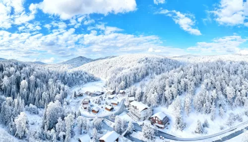 Зимний отдых мечты: Лесная сказка зовет в горы Белокурихи